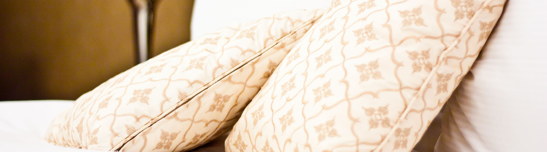Hotel San Glorio  header